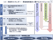 �v�V�I�G�l���M�[�E���헪����Ɋւ���X�P�W���[��