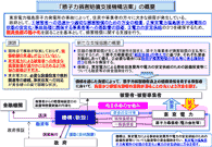 ���q�͑��Q�����x���@�\�@�Ă̊T�v